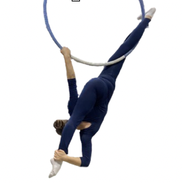 AHP21