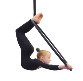 AHP51