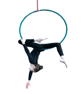 AHB11