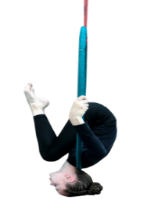 AHB31