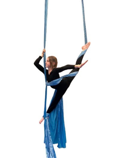 ASF20