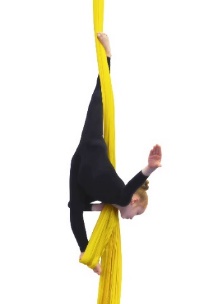 ASF38