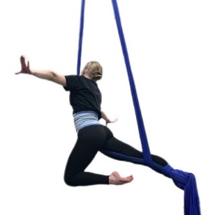 ASB15