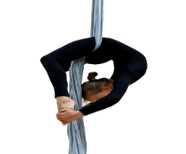 ASB17