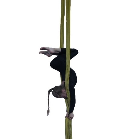 ASB71