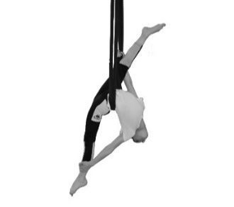 SF29