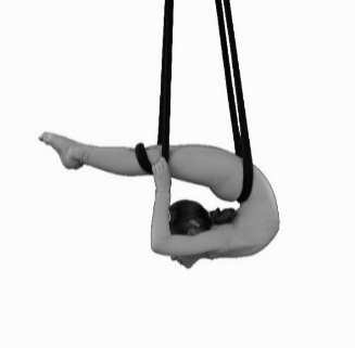 SF41