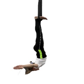 SP33