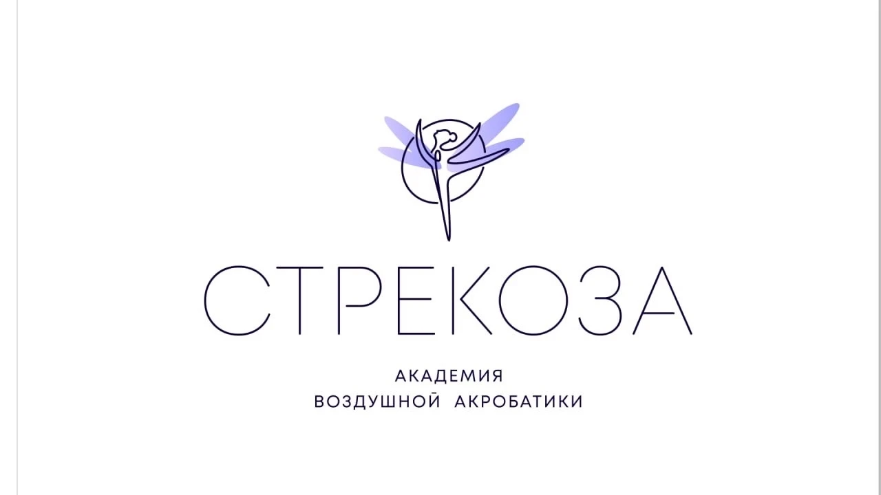 Академия воздушной акробатики "Стрекоза"