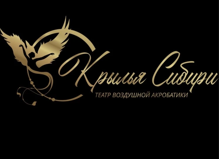 Цент воздушной гимнастики "Крылья Сибири"