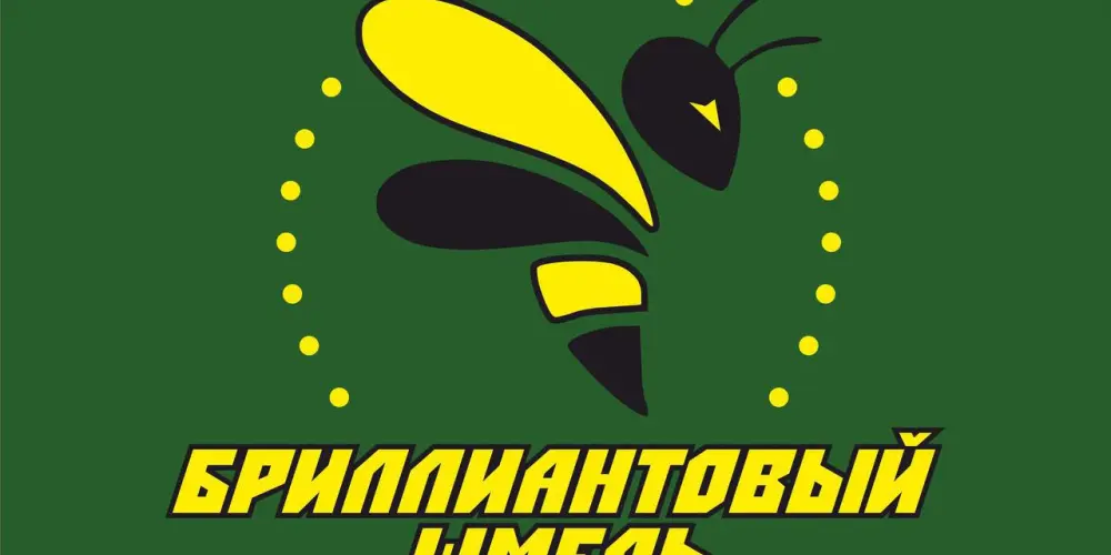 Центр творчества и спорта "Бриллиантовый шмель"