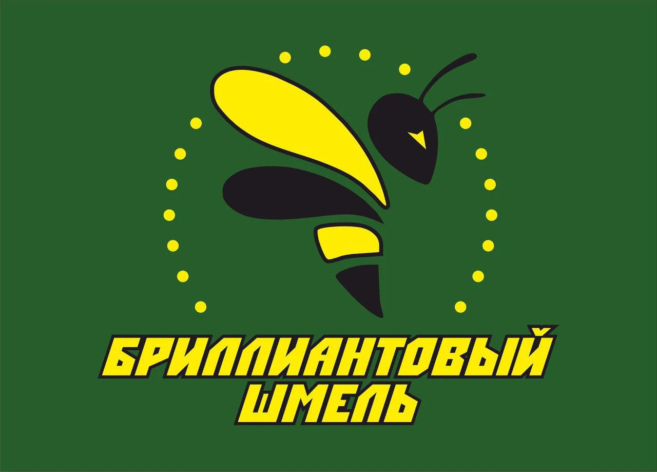 Центр творчества и спорта "Бриллиантовый шмель"