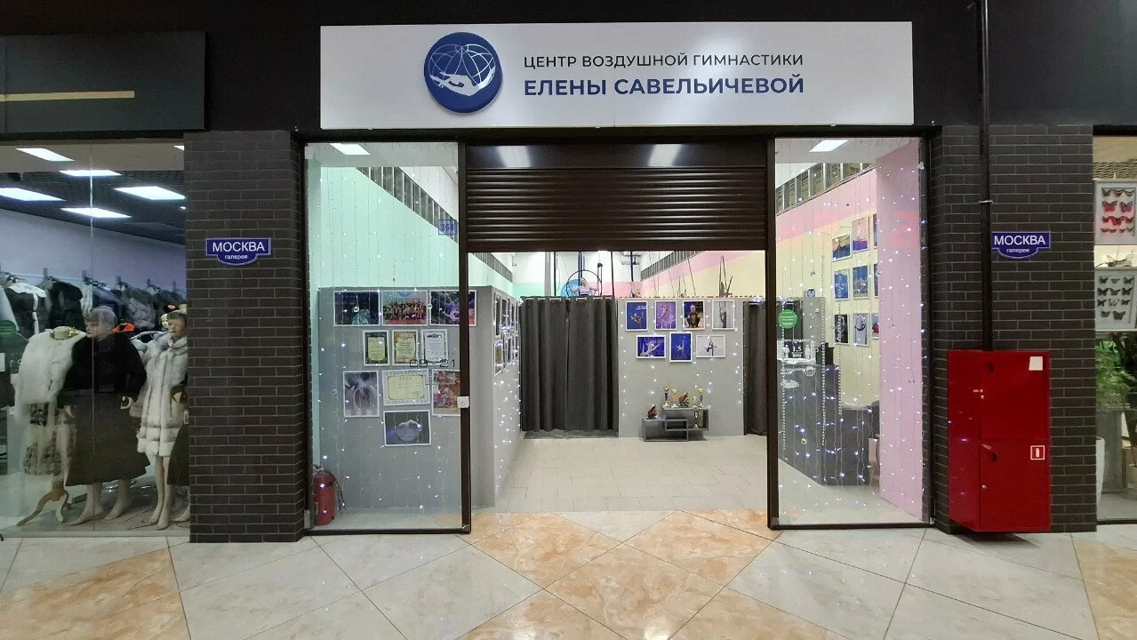 Центр Воздушной Гимнастики Елены Савельичевой