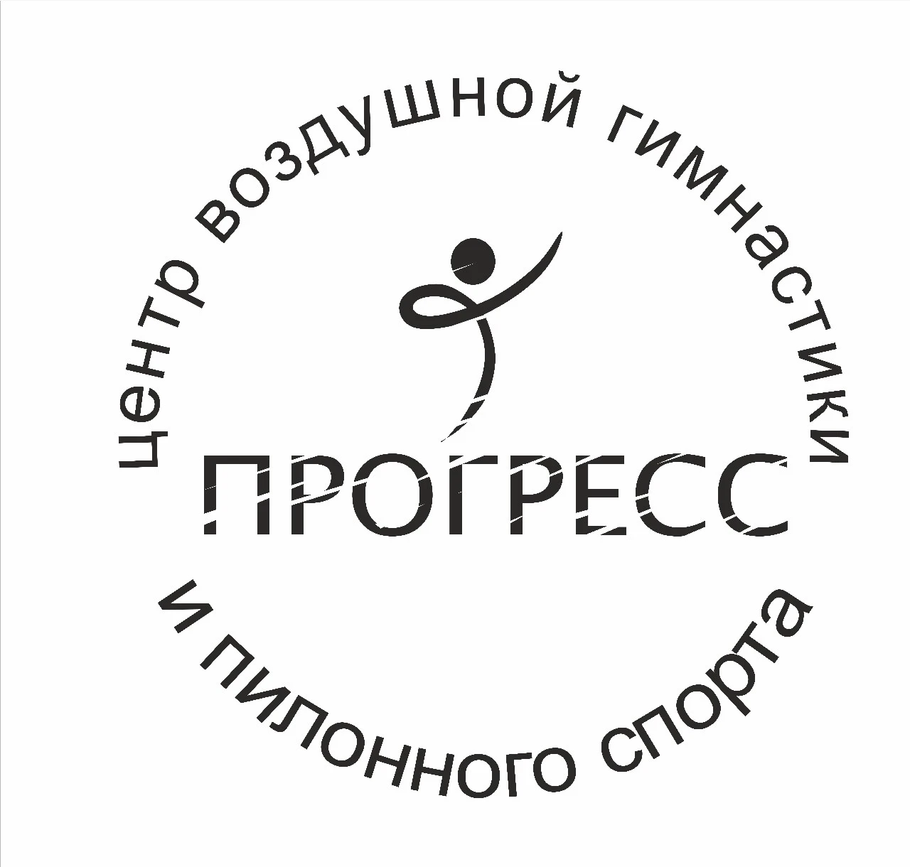 Центр воздушной гимнастики и пилонного спорта "Прогресс"