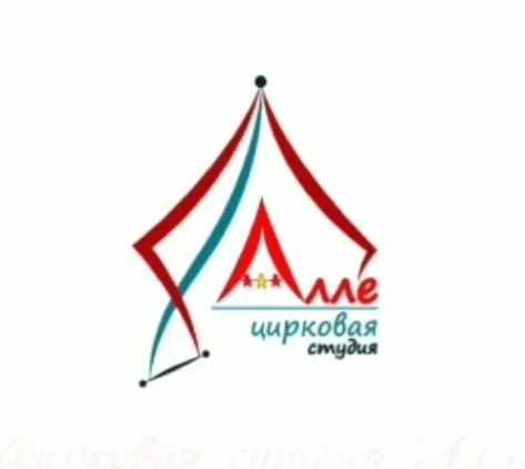 Детская цирковая студия "Алле"