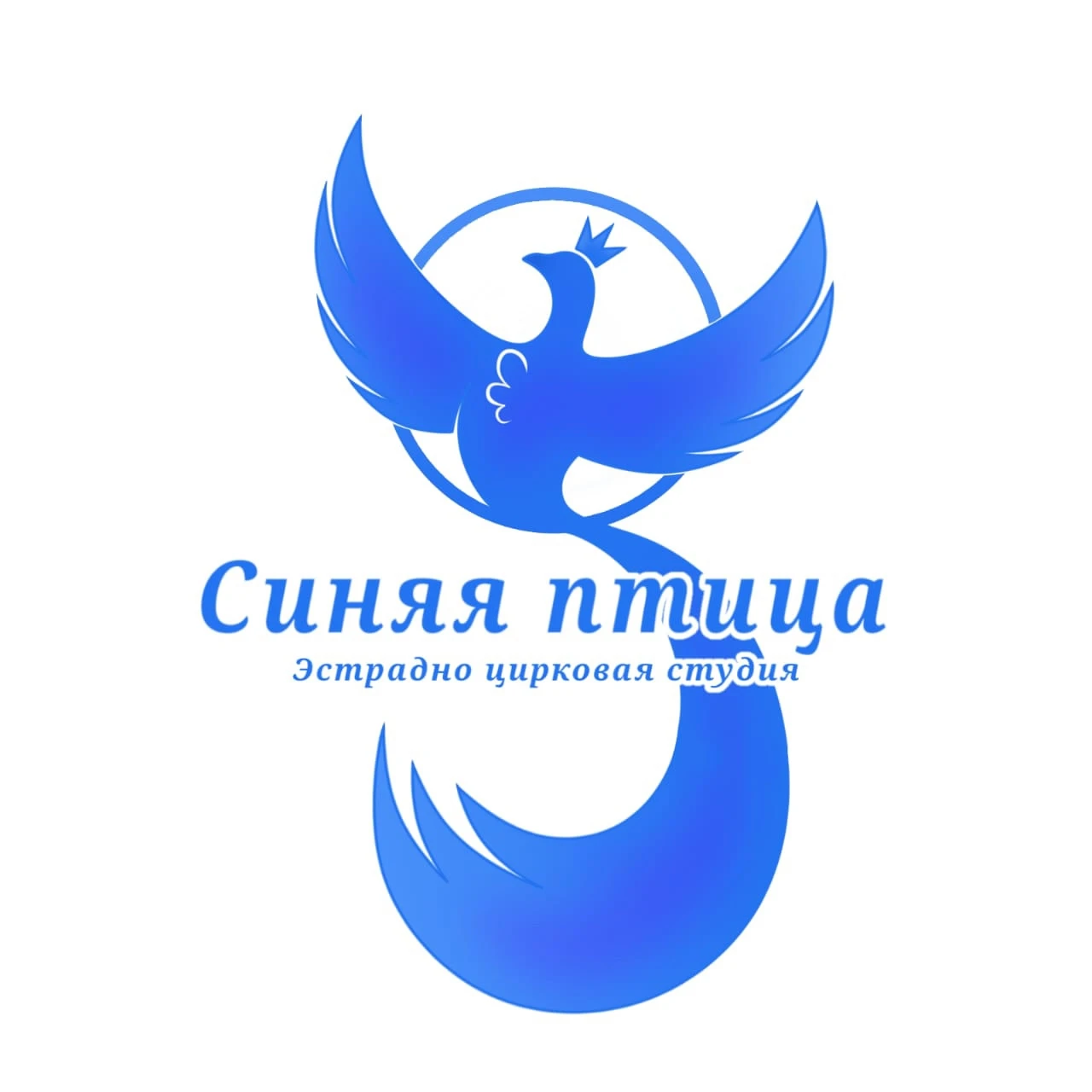 Эстрадно-цирковая студия "Синяя птица"