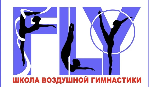 Школа воздушной гимнастики "Fly" (филиал на Молокова)