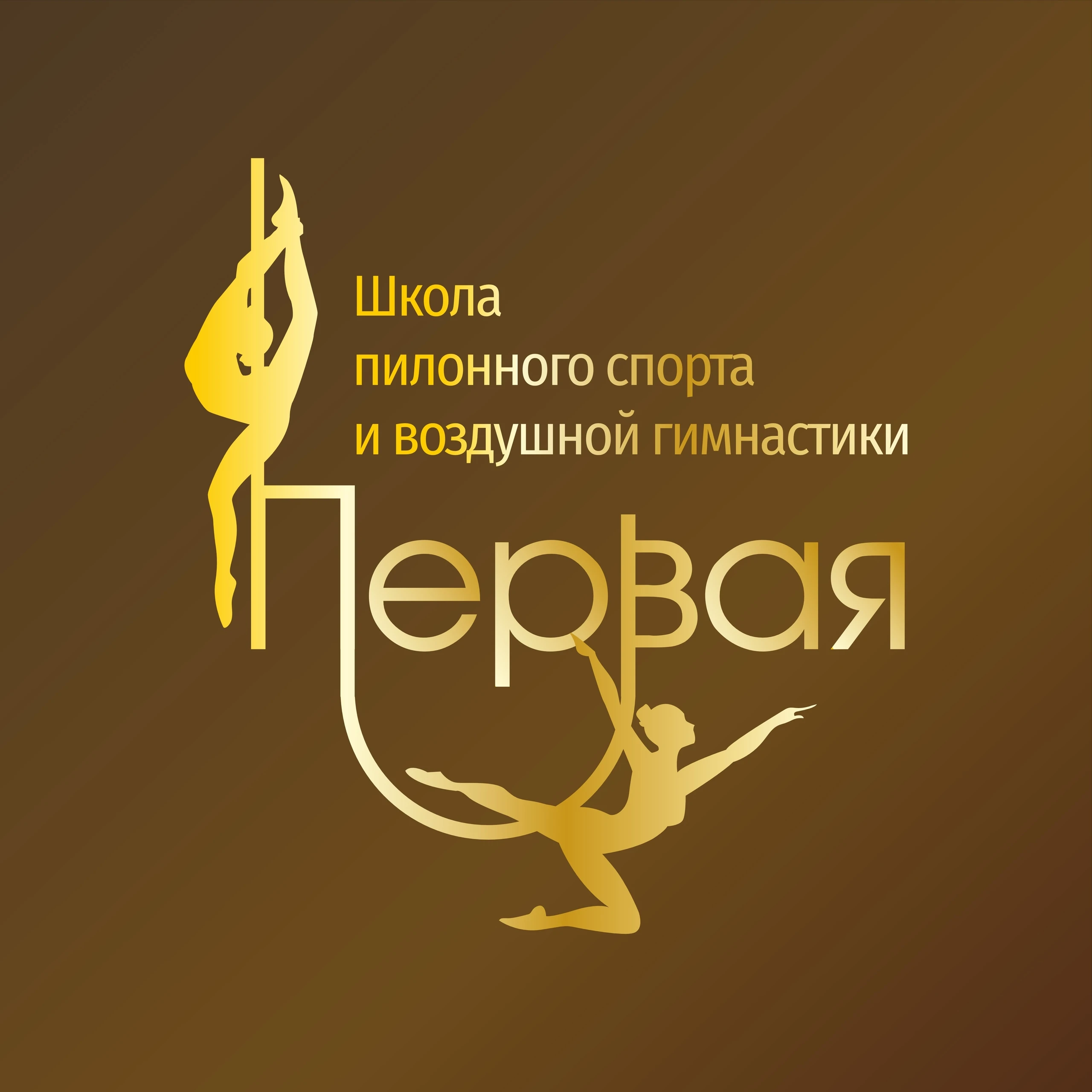 Школа пилонного спорта и воздушной гимнастики