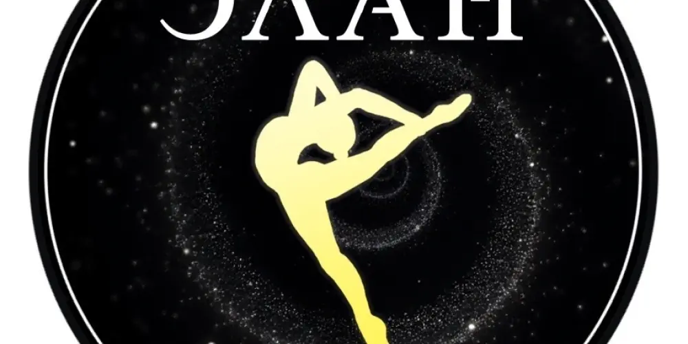 Школа танца на пилоне "Элан"