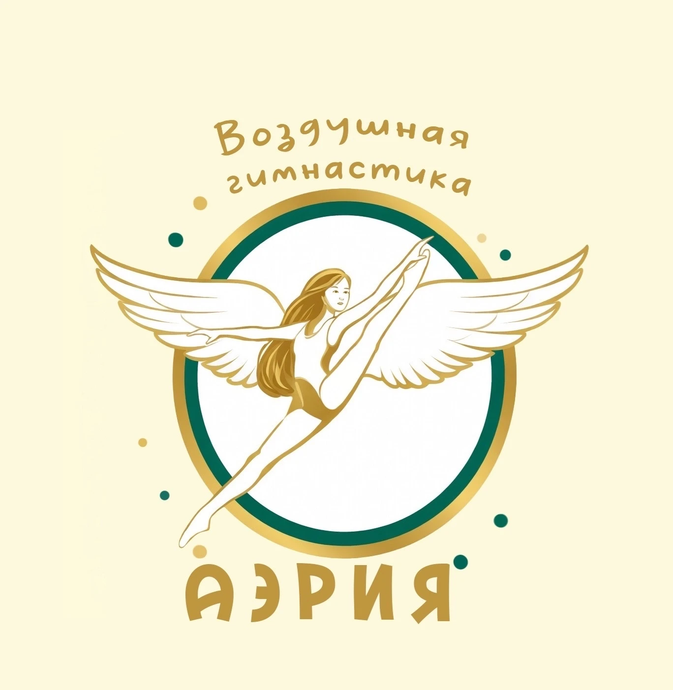 Школа воздушной гимнастики "Аэрия"