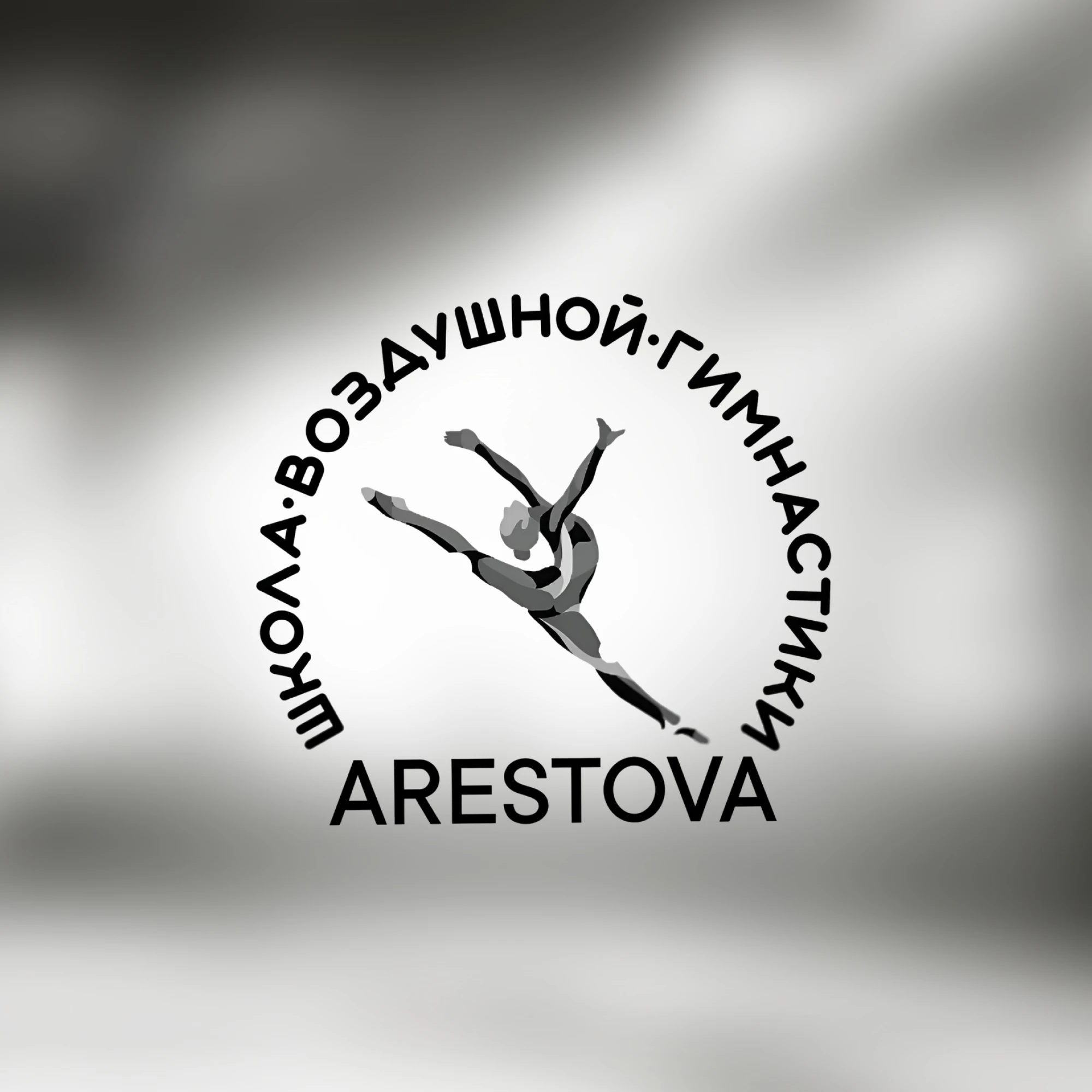 Школа воздушной гимнастики и акробатики Анастасии Арестовой
