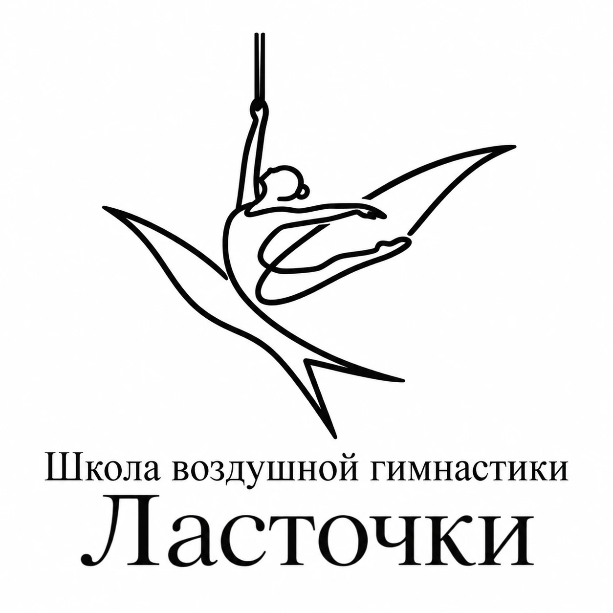 Школа воздушной гимнастики "Ласточки"