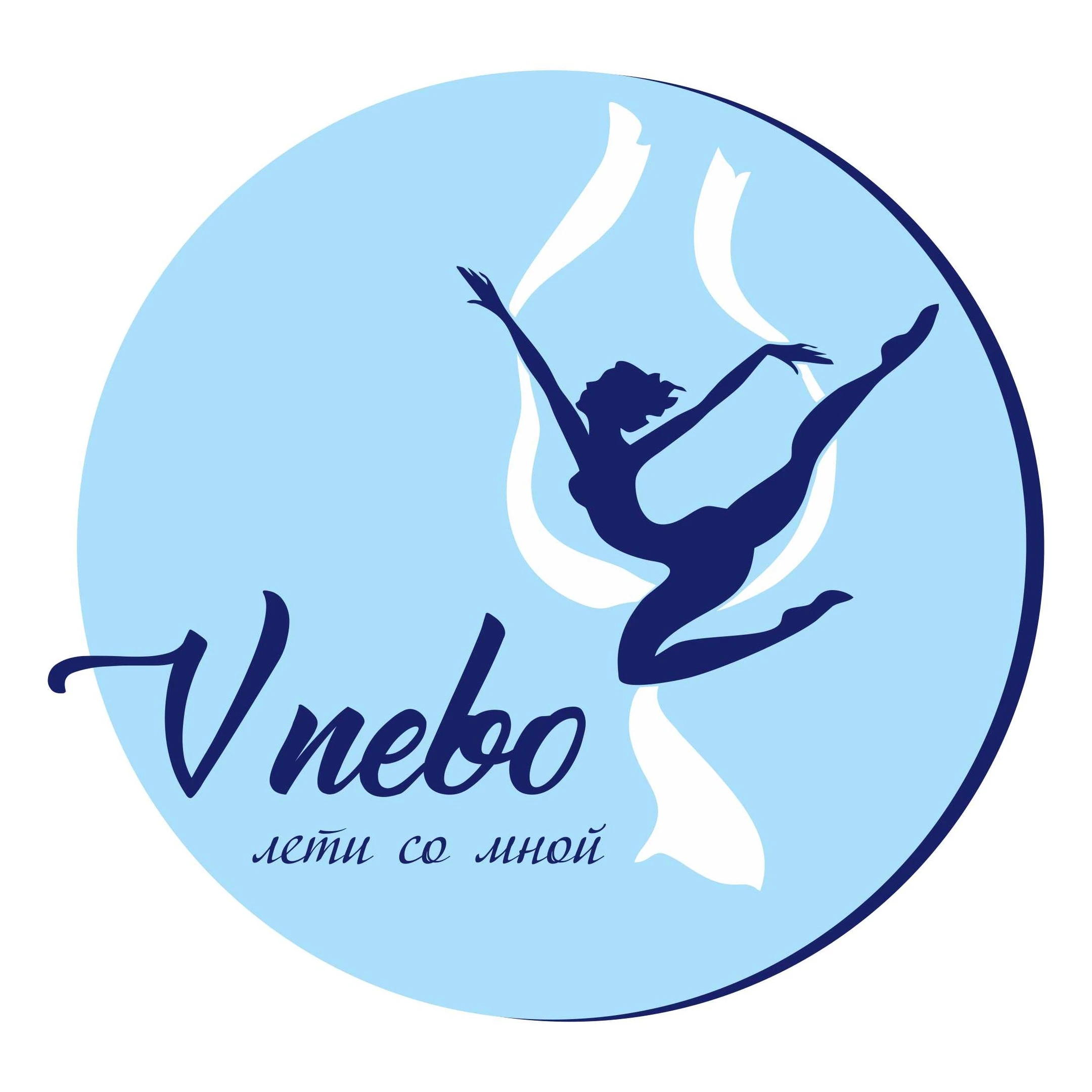 Школа воздушной гимнастики "VNebo"