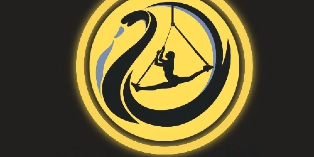 Студия фитнеса "Swan"
