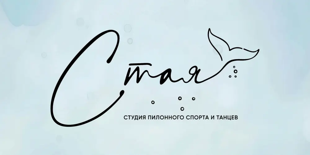 Студия пилонного спорта и танцев "Стая"