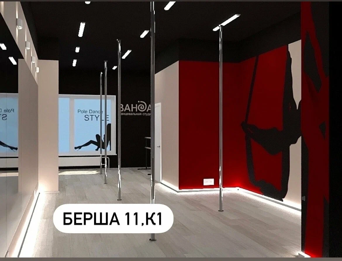 Студия пилонного спорта и воздушной гимнастики "Ванда" (филиал на Архитектора Берша)