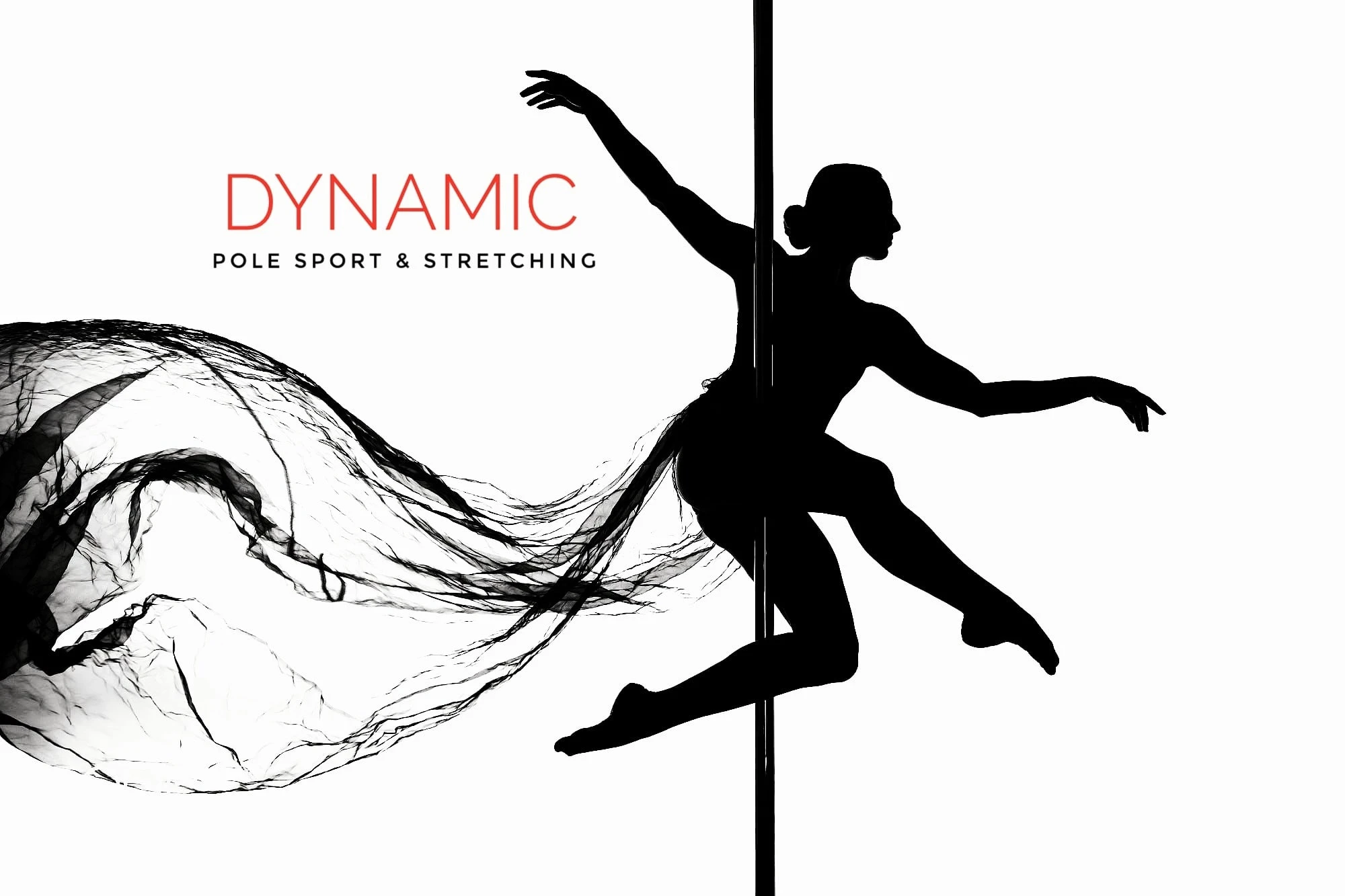 Студия танцев и воздушной акробатики "Dynamic"