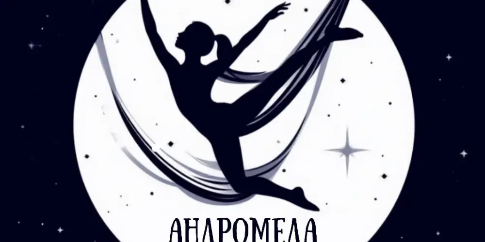 Студия воздушной акробатики "Андромеда"