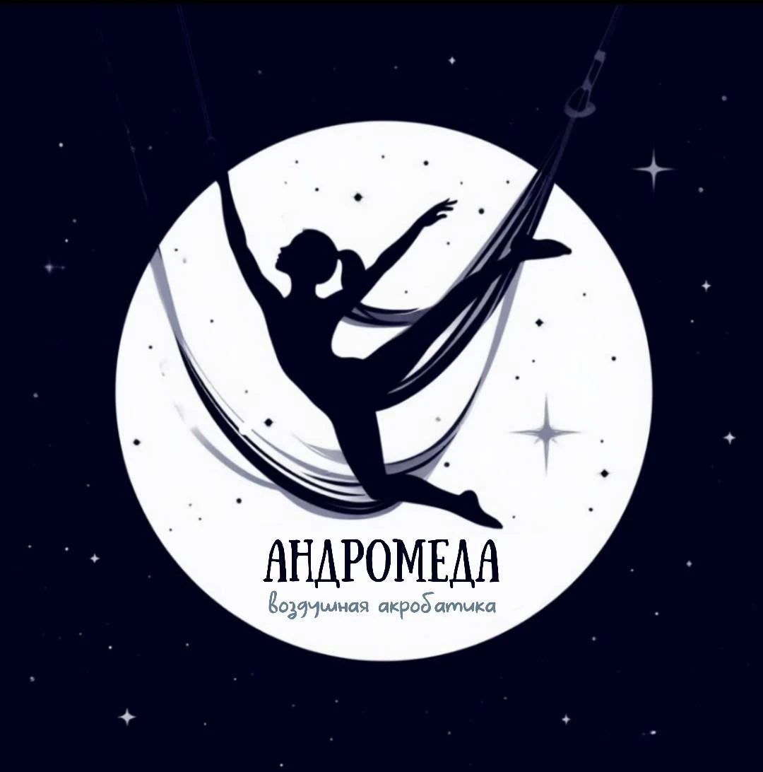 Студия воздушной акробатики "Андромеда"