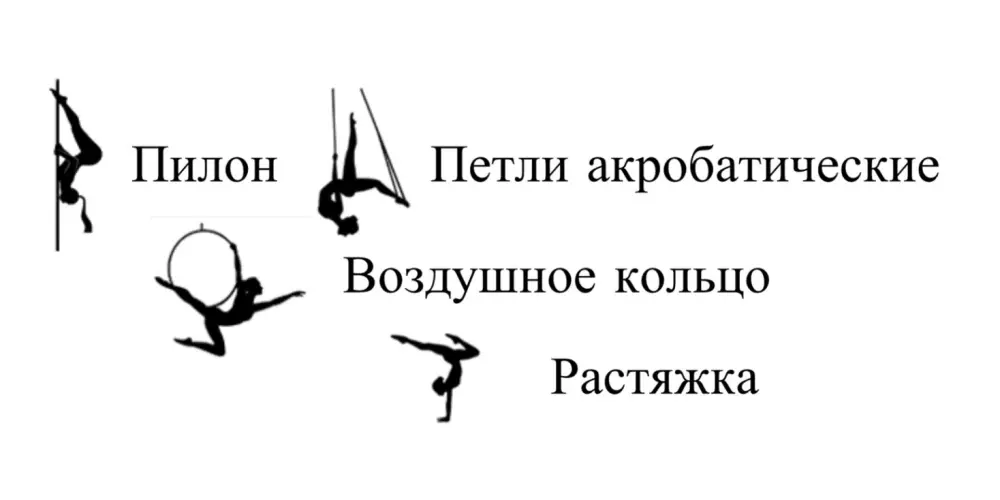 Студия воздушной акробатики "Феникс"