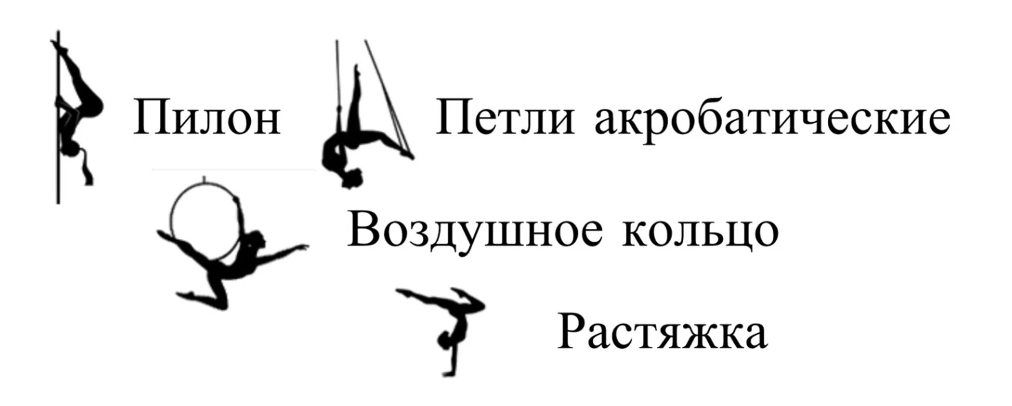 Студия воздушной акробатики "Феникс"