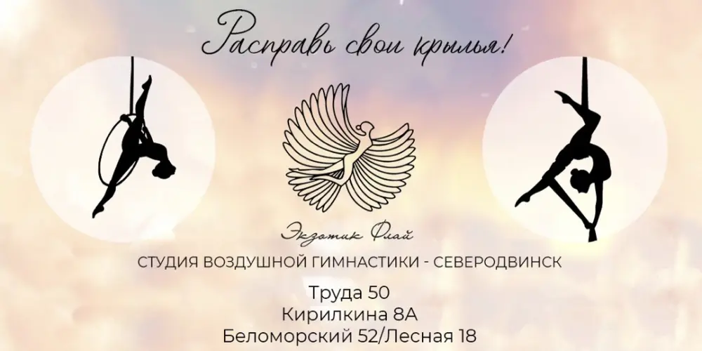 Студия воздушной гимнастики "Экзотик Флай" (зал 1)