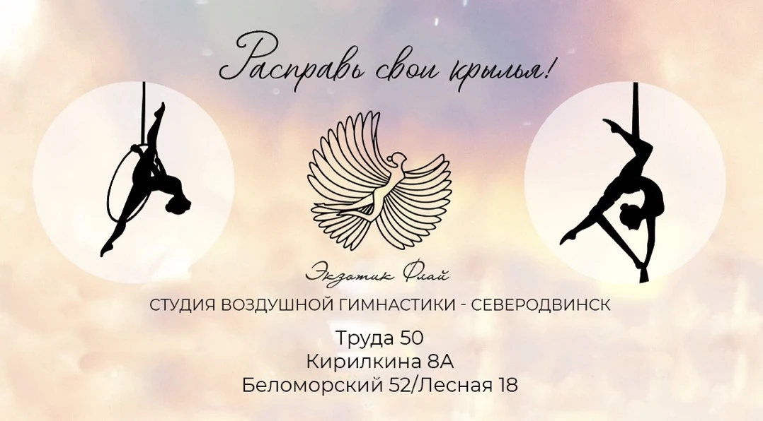 Студия воздушной гимнастики "Экзотик Флай" (зал 3)