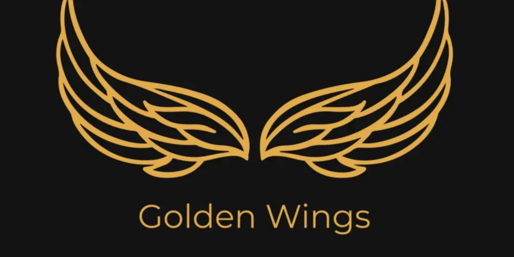 Студия воздушной гимнастики "Golden Wings"