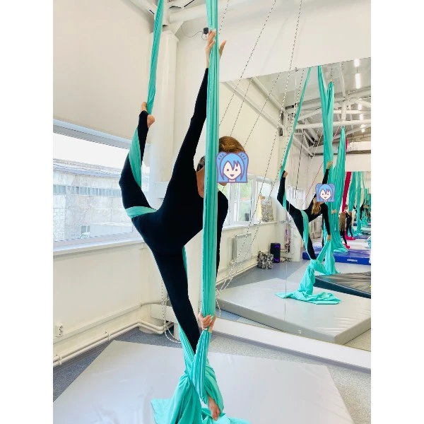 Студия воздушной гимнастики и акробатики "Крылья"