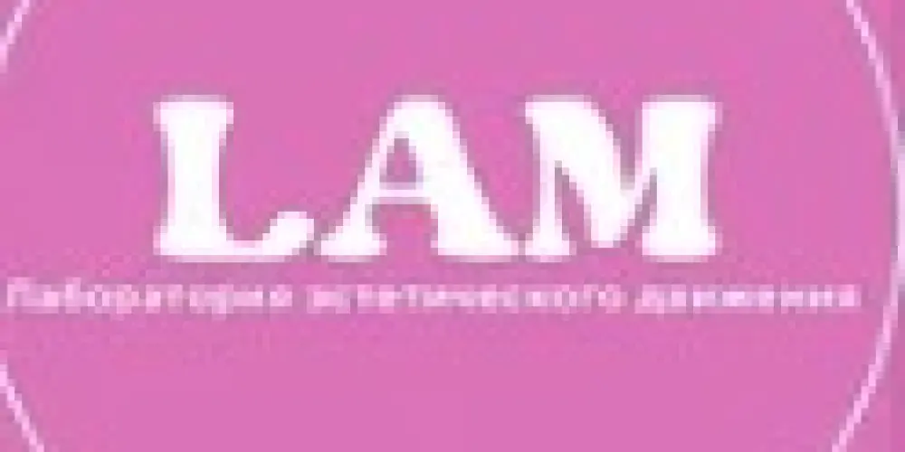 Студия воздушной гимнастики и растяжки "LAM.Air"