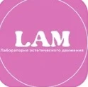 Студия воздушной гимнастики и растяжки "LAM.Air"