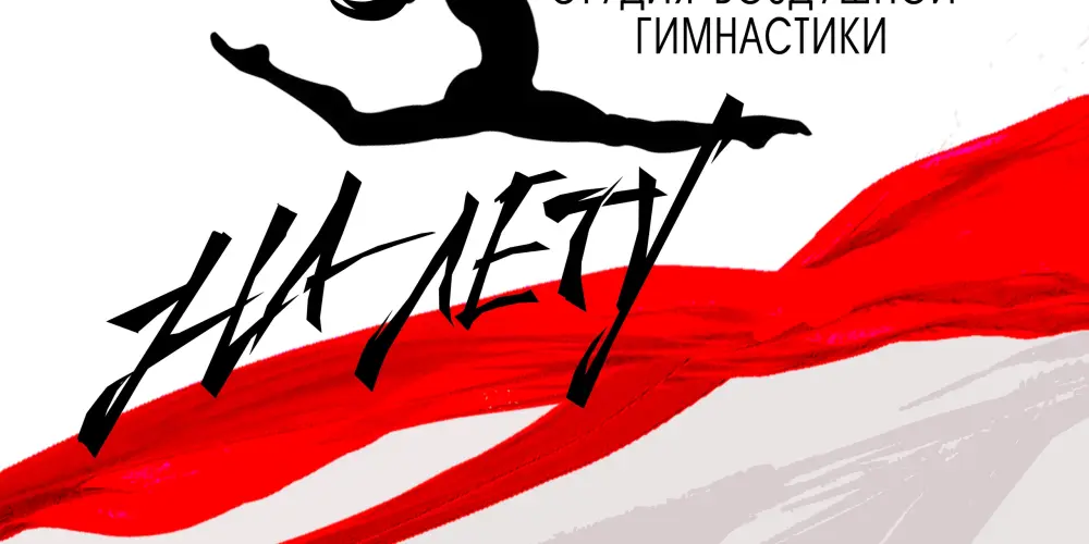 Студия воздушной гимнастики "На Лету"