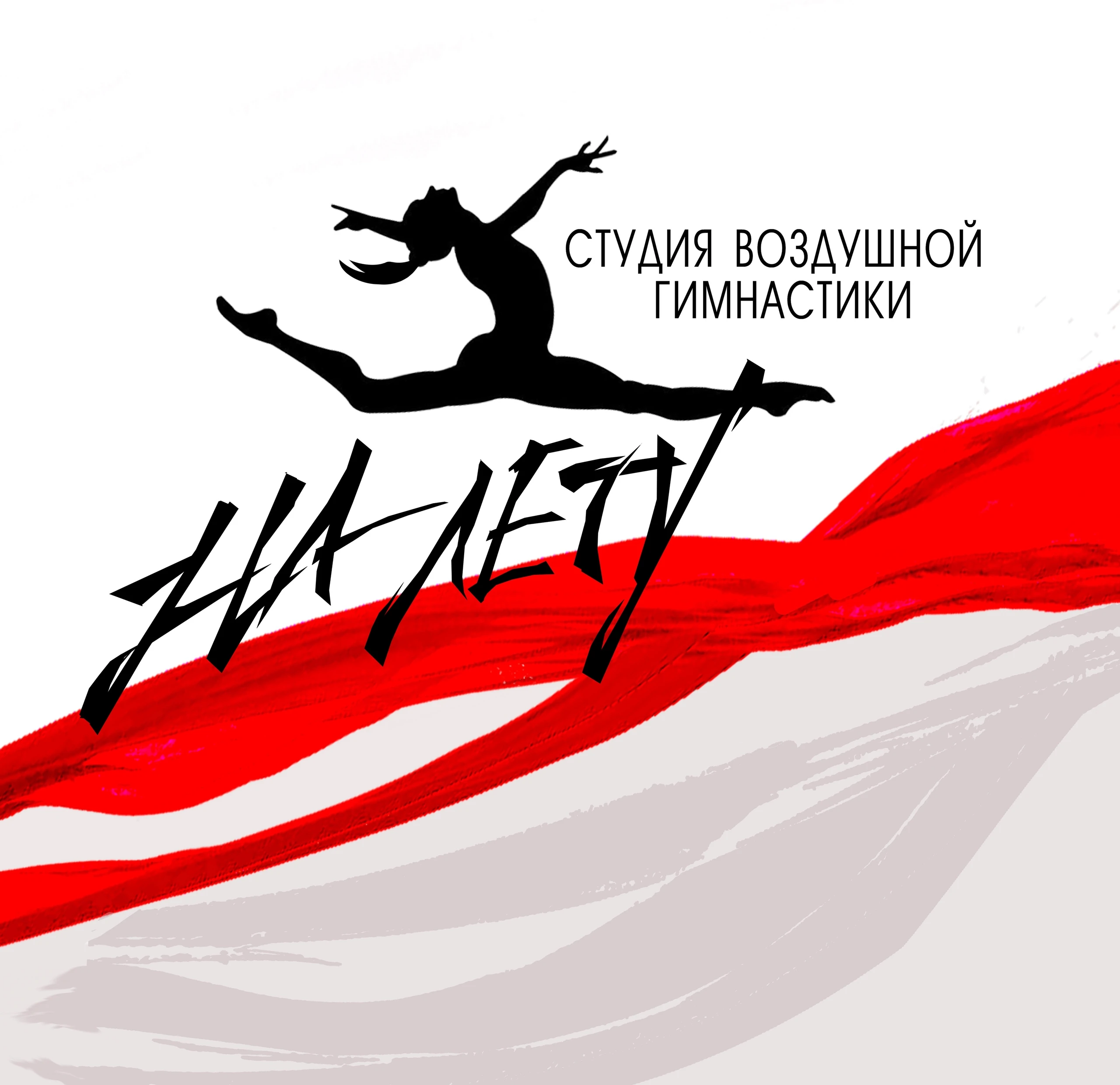 Студия воздушной гимнастики "На Лету"