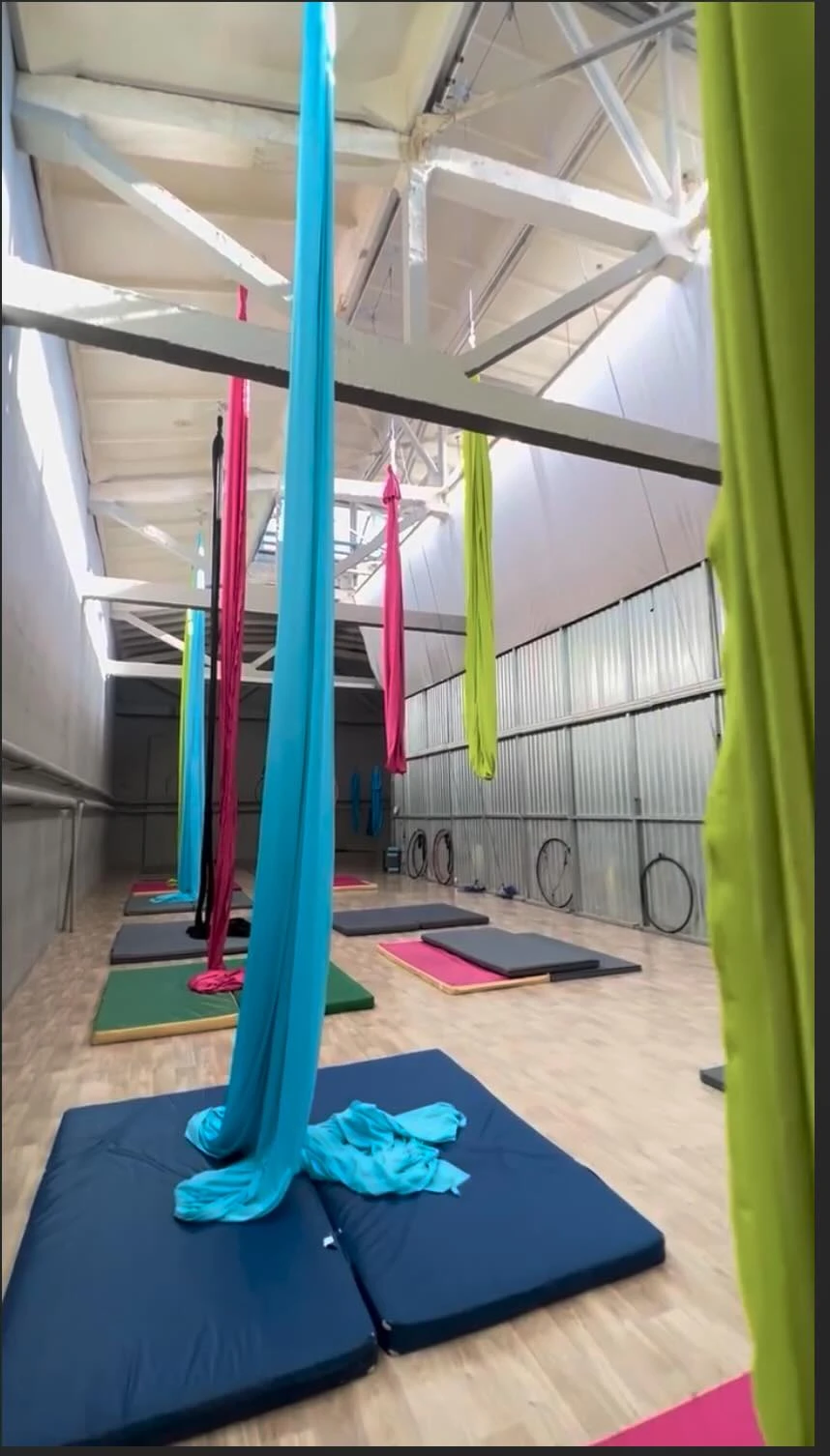 Мастер-класс по полотнам Валерии Власовой и Виктора Рушенцева