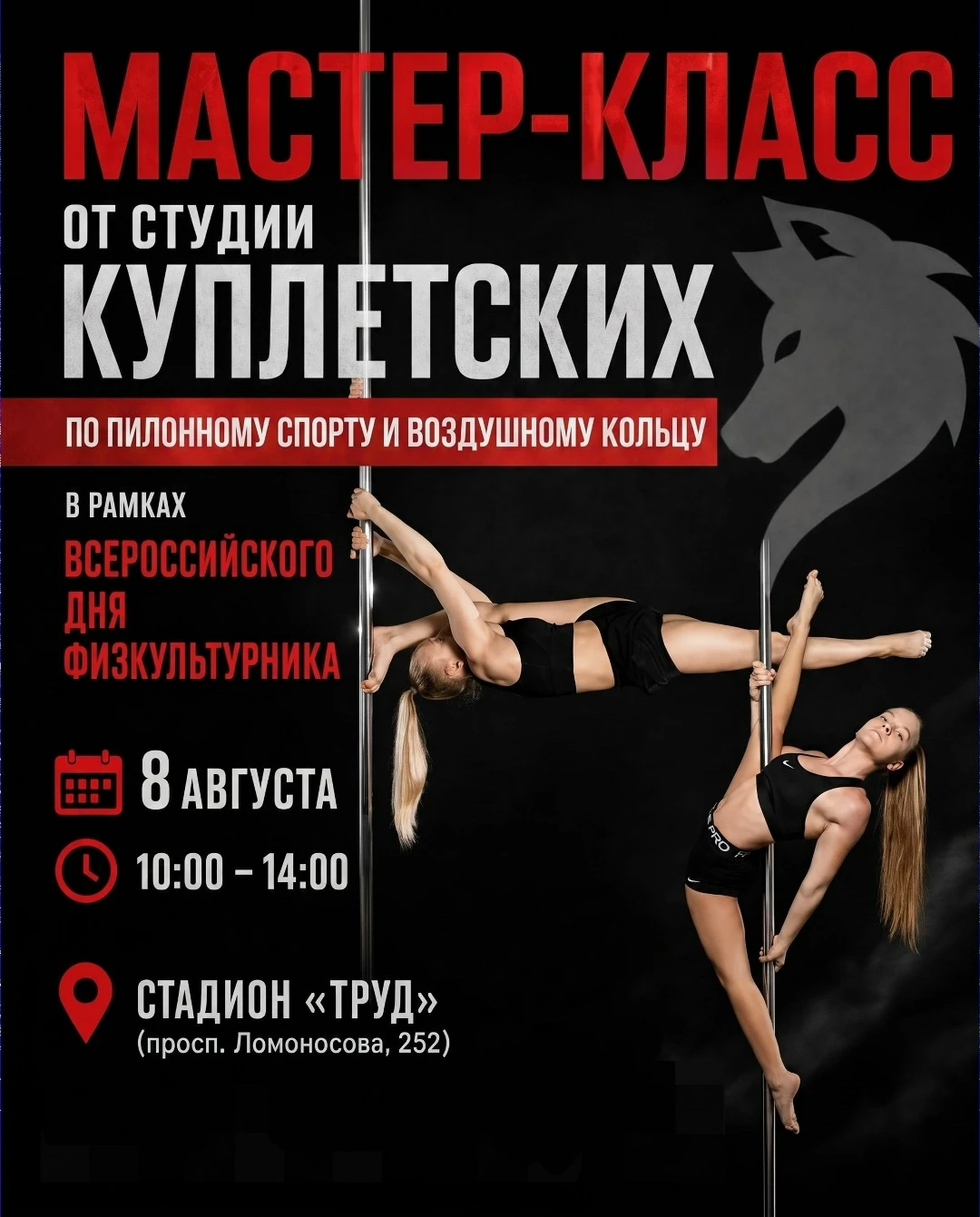 Мастер-класс по воздушному кольцу и подвесным цепям
