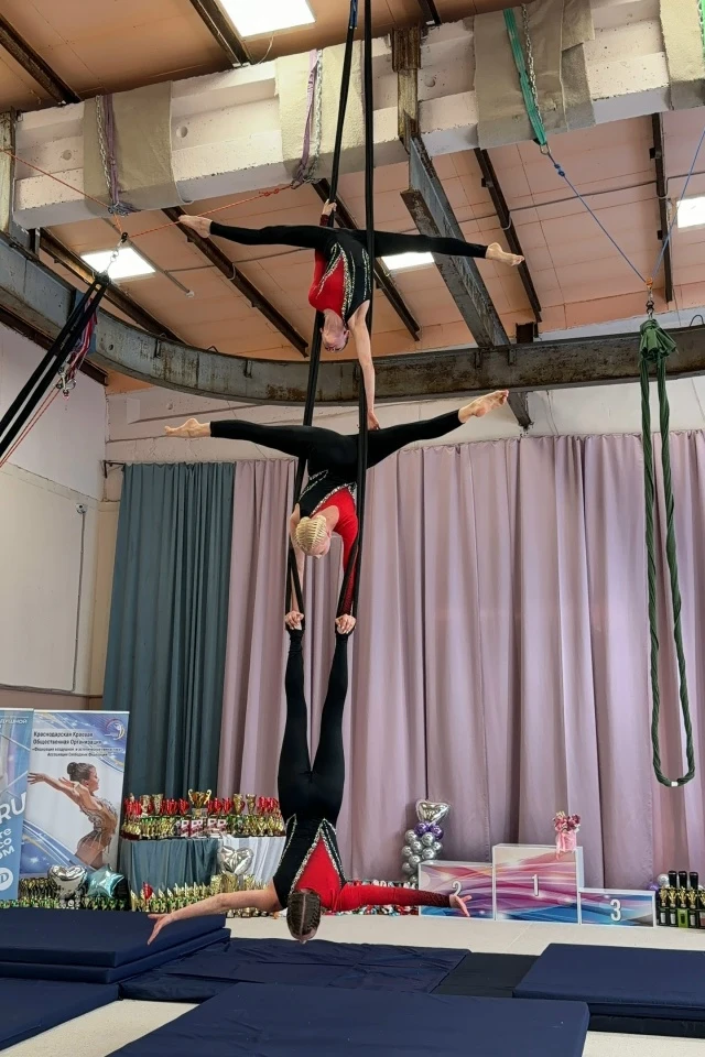 Мастер-класс "Трио и синхронное выполнение акробатических  элементов в воздушной гимнастике"